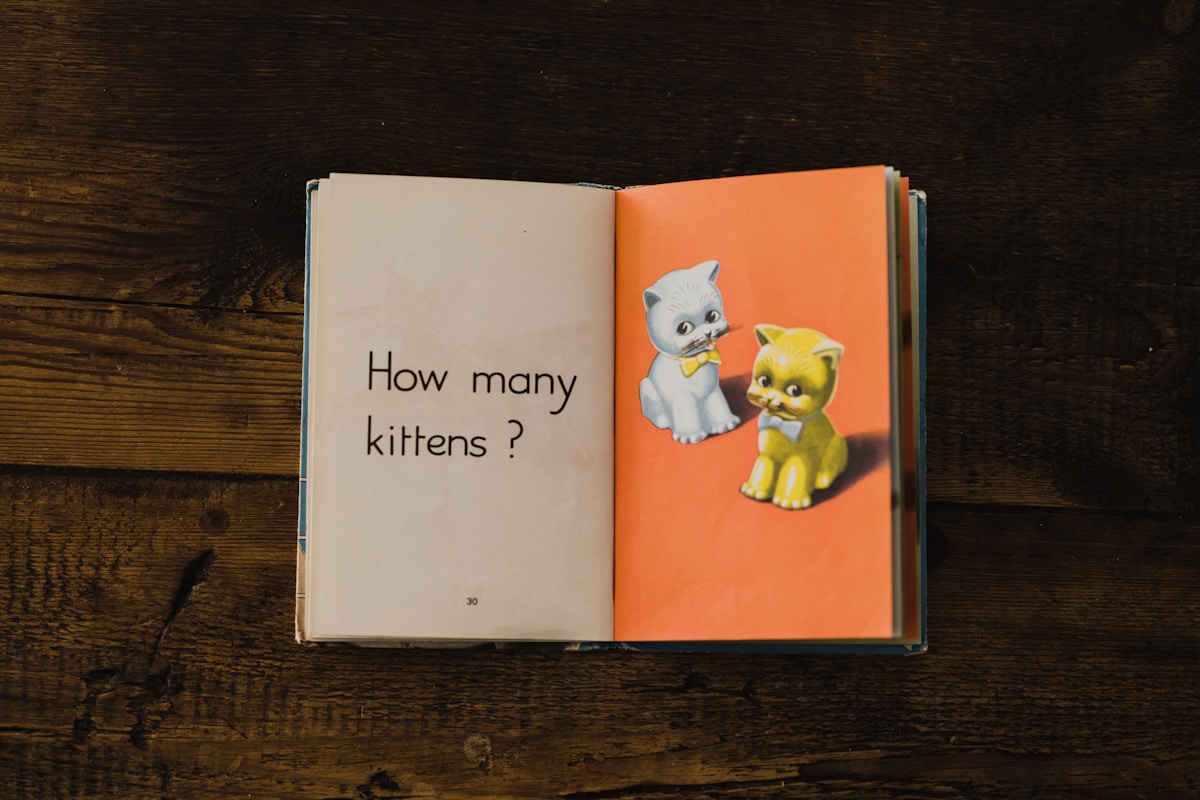 Exploring Typography